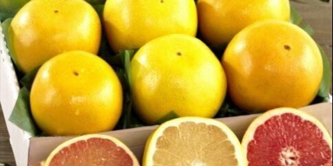 Koja je razlika između grejpa i narandže